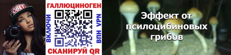Галлюциногенные грибы MAGIC MUSHROOMS  даркнет телеграм  Чулым 